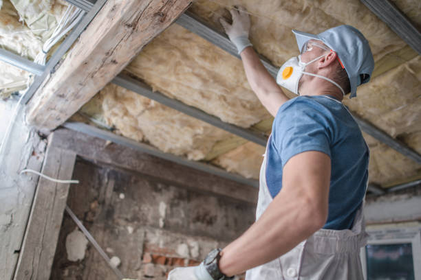 Best Best Insulation Companies  in Silver Springs, NV