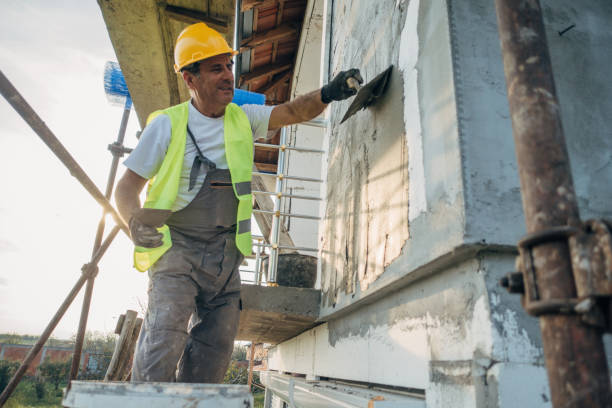 Best Insulation Removal Services  in Silver Springs, NV
