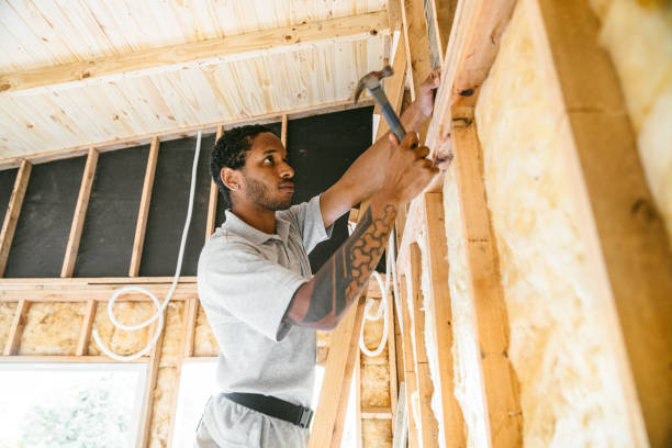 Best Professional Insulation Contractor  in Silver Springs, NV