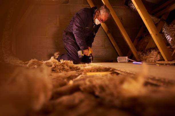 Professional Insulation Contractor in Silver Springs, NV